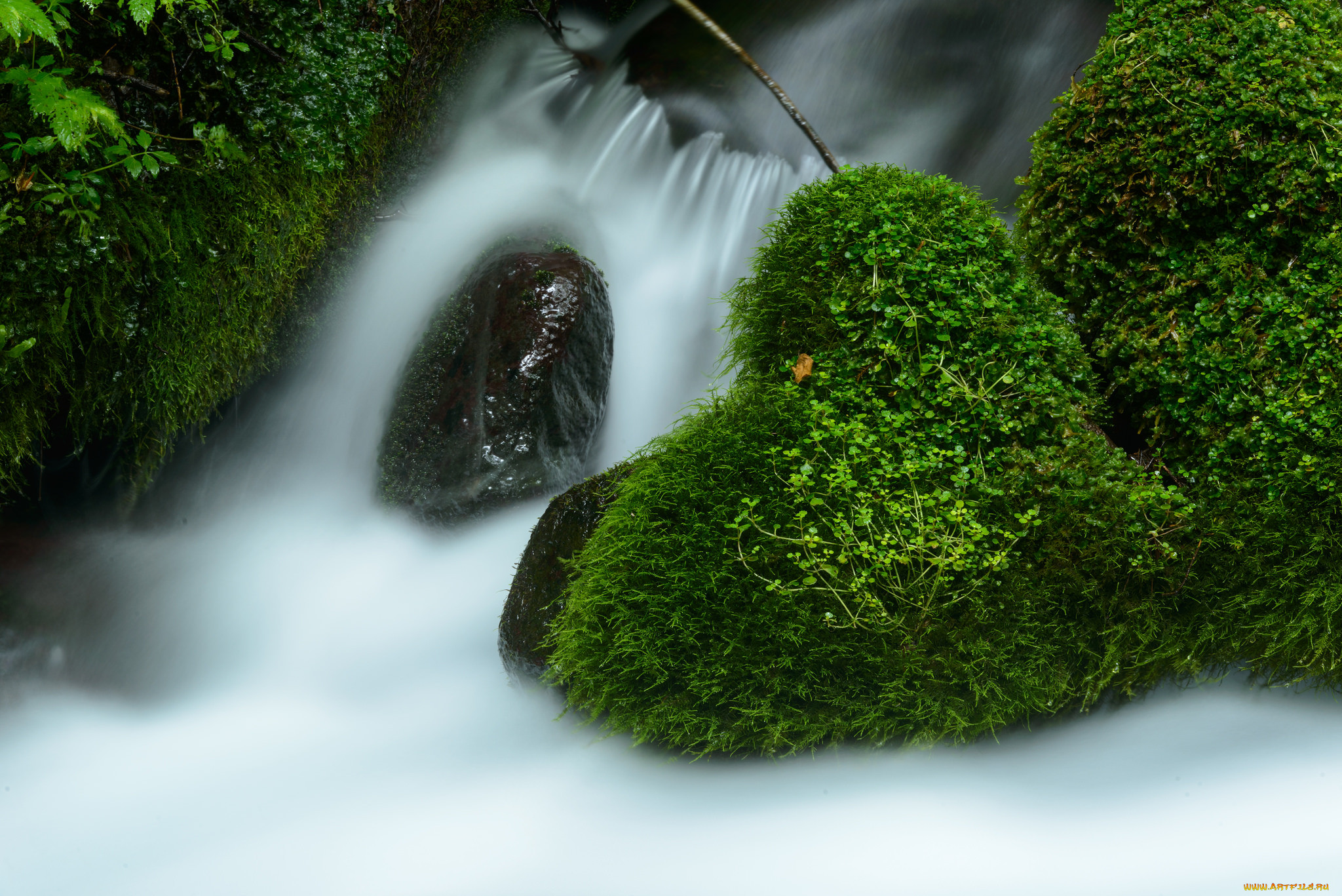 , , waterfall, , , , stream, , autumn, leaves, , water